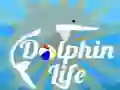 Spill Delfinliv online