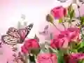 Spill Sommerfuglpuslespill online Spill Sommerfuglpuslespill online