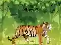 Spill Sint Tiger Fargelegging online Spill Sint Tiger Fargelegging online