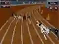 Spill Galen Hund Race Feber online Spill Galen Hund Race Feber online