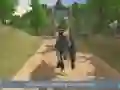 Spill Jungle Dino Truck Transportør 2020 online Spill Jungle Dino Truck Transportør 2020 online