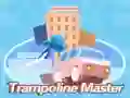 Spill Trampoline Mester online Spill Trampoline Mester online
