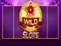 Spill Vill Slot online Spill Vill Slot online
