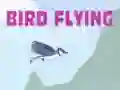 Spill Fuglen Flyr online Spill Fuglen Flyr online