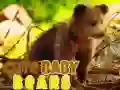 Spill Søte Babybjørner online