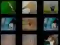Spill Dyr Hukommelse online Spill Dyr Hukommelse online