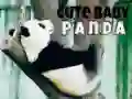 Spill Søt baby panda online Spill Søt baby panda online