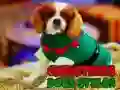 Spill Julehundstiler online Spill Julehundstiler online