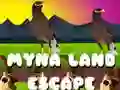 Spill Myna Land Flukt online Spill Myna Land Flukt online