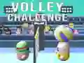 Spill Volleyutfordring online Spill Volleyutfordring online
