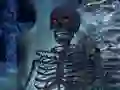 Spill Skeletverden - Skulte Stjerner online Spill Skeletverden - Skulte Stjerner online