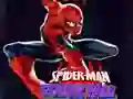 Spill Spider-Man: Fargefall online Spill Spider-Man: Fargefall online