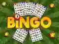 Spill Bingo Avslørt online Spill Bingo Avslørt online