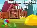 Spill Macaw Par Flukt online Spill Macaw Par Flukt online