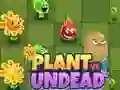 Spill Planter mot Udøde online Spill Planter mot Udøde online