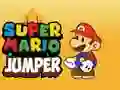 Spill Super Mario Hopper online Spill Super Mario Hopper online
