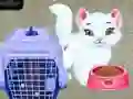 Spill Baby Taylor: Kjæledyrpleie online