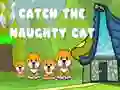 Spill Fang den slemme katten online Spill Fang den slemme katten online