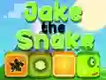 Spill Jake Slangen online Spill Jake Slangen online
