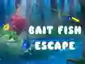 Spill Bait Fish Escape online Spill Bait Fish Escape online