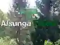 Spill Tilbake til Alsunga-skogen online Spill Tilbake til Alsunga-skogen online