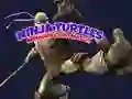 Spill Ninja Skilpadde Minnekort Match online Spill Ninja Skilpadde Minnekort Match online