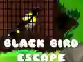 Spill Svart Fugl Flukt online
