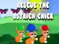 Spill Redde strutsungen online Spill Redde strutsungen online