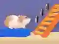 Spill Hamster Stabel Labyrint online Spill Hamster Stabel Labyrint online