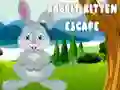 Spill Kanindyr og Kattunge Rømning online Spill Kanindyr og Kattunge Rømning online