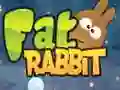 Spill Fett Kanin online