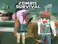 Spill Zombie Overlevelse online Spill Zombie Overlevelse online