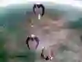 Spill Scape Shotter online