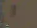 Spill Overlevelse online Spill Overlevelse online