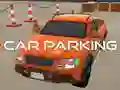 Spill Bile Parkering online Spill Bile Parkering online