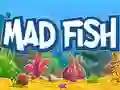 Spill Gal Fisk online