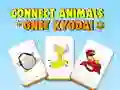 Spill Koble Dyr Onet Kyodai online