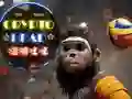 Spill Krypto Hode Ball online Spill Krypto Hode Ball online