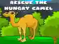 Spill Redde den sultne kamelen online