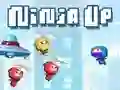 Spill Ninja Opp online