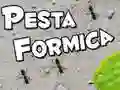 Spill Maurfest online Spill Maurfest online