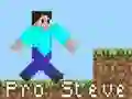 Spill Pro Steve online
