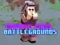 Spill Private Pixel Slagmarker online Spill Private Pixel Slagmarker online