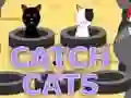Spill Fange Katter online Spill Fange Katter online