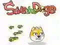 Spill Redde Doge online