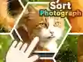 Spill Sorter fotografi online Spill Sorter fotografi online