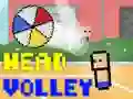 Spill Hodevolley online Spill Hodevolley online