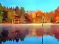 Spill Fiskesimulator Online online