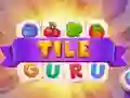Spill Flis Guru online Spill Flis Guru online