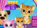 Spill Barn Pet Hotel online